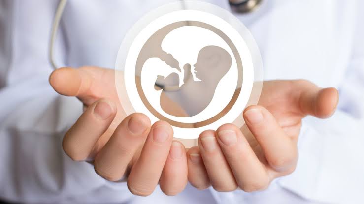 Ivf Clinic In Pitampura: Your Partner In Fertility